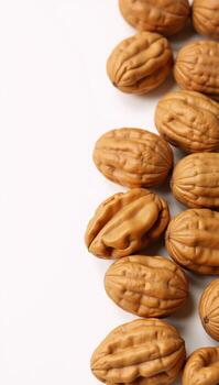A digital illustration featuring an image of walnuts in intricate detail with highresolution quality Food Illustration photo