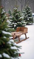 A vintage wooden sleigh amidst snowy evergreens with red berries in a wintry scene photo