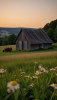 Lofistyle image Old rustic barn amidst countryside fields wildflowers with vintage tractor near sunset photo