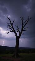 Stunning Night Sky Scene with Gloomy Storm Cloud Background Thunderstorm with Wind Lightning FantasyHorror Immersion photo