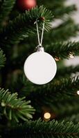 White ceramic circle ornament hanging on Christmas tree photo