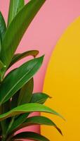 A bright summer scene featuring vibrant tropical foliage against a pinkorangeyellow gradient backdrop photo