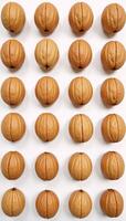 White background displays symmetrical and intact walnut halves photo