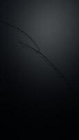 Closeup image showcases intricate patterns on a black metallic surface with seams and rivets photo