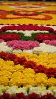 A detailed closeup image showcasing a traditional Onam Pookalam floral carpet photo
