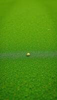 A beautiful green putt surrounds the foreground photo