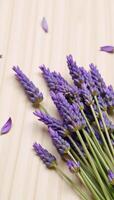 Dried lavender buds framing a light wood surface photo