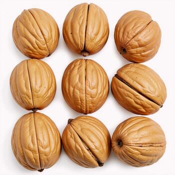 A digital illustration featuring an image of walnuts in intricate detail with highresolution quality Food Illustration photo