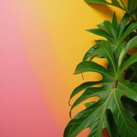 A bright summer scene featuring vibrant tropical foliage against a pinkorangeyellow gradient backdrop photo