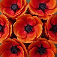 Stylized artwork featuring intricate patterns of elegant redorange anemone flowers Abstract photo