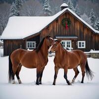 Horses on snowcovered farm with Christmas wreath over the barn photo