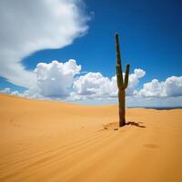 Wideangle view of a midday Mexican desert landscape generated photo