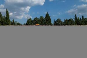 Felled trees stacked in the forest store. photo