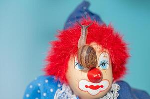 A snail walking on the head of a clown model. photo