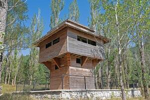 A wooden lookout tower in the woods photo