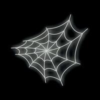 White neon spider web glowing on black background vector