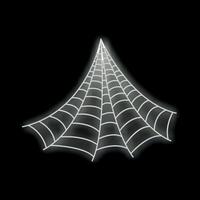 Neon spider web glowing on black background vector