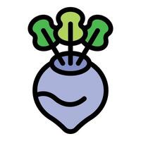 Fresh turnip root vegetable showing green leaves vector