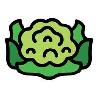 Green cauliflower florets growing on stalk with leaves icon vector