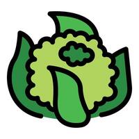 Fresh green cauliflower with leaves showing healthy eating vector