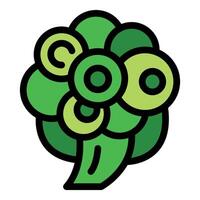 Green broccoli florets forming a healthy vegetable vector