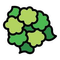 Green broccoli florets forming a healthy vegetable vector