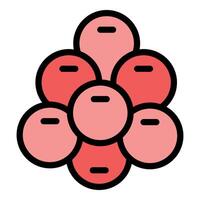 Atomic structure icon showing seven protons, neutrons and electrons vector