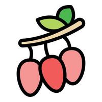 Three red pink lychee fruits hanging from branch icon vector