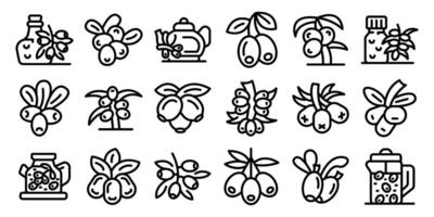 Sea buckthorn icons set. Sea buckthorn icons set in simple style for any design vector