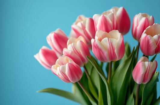 delicado rosado y blanco tulipanes arreglado esmeradamente en contra un suave azul antecedentes en primavera foto