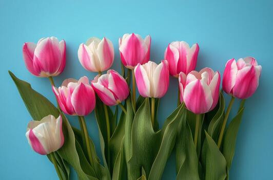 delicado rosado y blanco tulipanes arreglado esmeradamente en contra un suave azul antecedentes en primavera foto