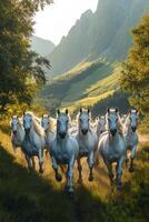 A herd of white horses galloping through a lush green field in the mountains at sunset photo