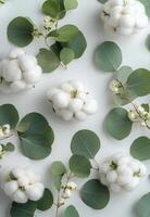 Beautiful arrangement of cotton flowers and eucalyptus leaves on a soft gray background photo