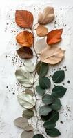 Colorful autumn leaves arranged artfully on a textured white background in a flat lay layout photo