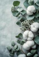 Beautiful arrangement of cotton flowers and eucalyptus leaves on a soft gray background photo