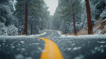 Snow falls gently on a winding road surrounded by tall trees in a winter landscape photo