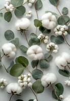 Beautiful arrangement of cotton flowers and eucalyptus leaves on a soft gray background photo