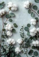 Beautiful arrangement of cotton flowers and eucalyptus leaves on a soft gray background photo