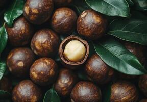 Freshly harvested macadamia nuts surrounded by lush green leaves in a vibrant display photo
