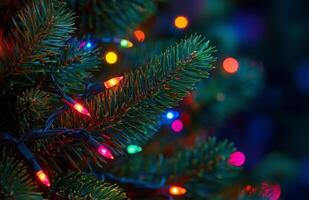 Colorful Christmas lights illuminates a green pine branch during a festive winter evening photo
