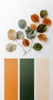 Colorful autumn leaves arranged artfully on a textured white background in a flat lay layout photo