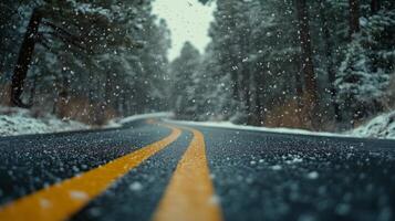 Snow falls gently on a winding road surrounded by tall trees in a winter landscape photo