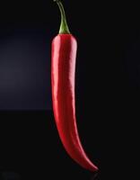One fresh red chili on a solid black background photo