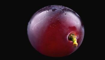 One purple grape isolated on a black background, showing the details of the skin and texture photo
