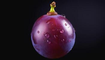 One purple grape isolated on a black background, showing the details of the skin and texture photo