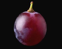 One purple grape isolated on a black background, showing the details of the skin and texture photo