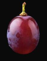 One purple grape isolated on a black background, showing the details of the skin and texture photo