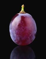 One purple grape isolated on a black background, showing the details of the skin and texture photo