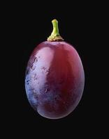 One purple grape isolated on a black background, showing the details of the skin and texture photo