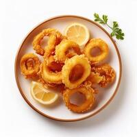 Fried calamari on white plate photo